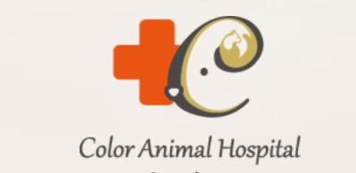 Color動物病院