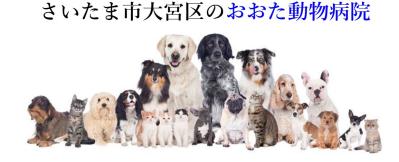 おおた動物病院