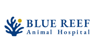 BLUE REEF 動物病院（BLUE REEF Animal Hospital）