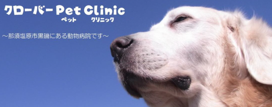 クローバーPetClinic