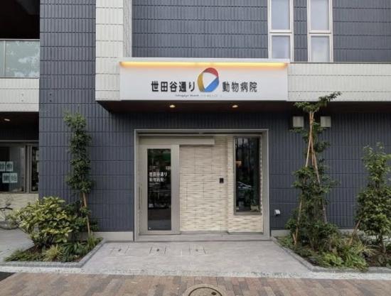 世田谷通り動物病院